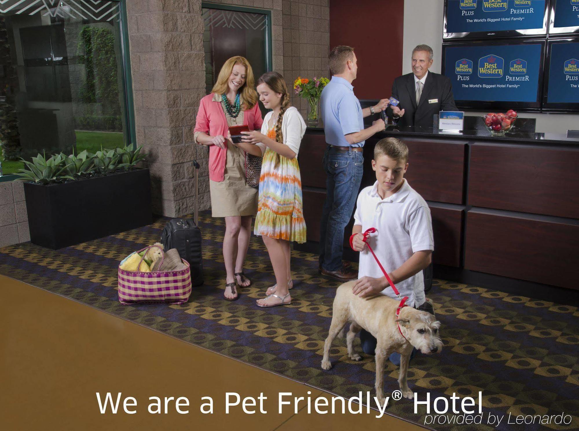 Best Western Socorro Hotel & Suites Exterior foto